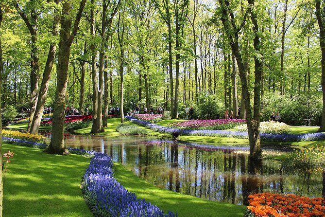 Private Half-Day Trip From Amsterdam to The Tulip Fields in Keukenhof - An In-Depth Look at the Keukenhof Private Tour Experience