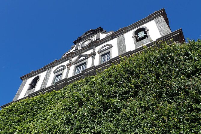 Private Half-Day Walking Tour of Horta Experience - An In-Depth Look at the Horta Walking Experience
