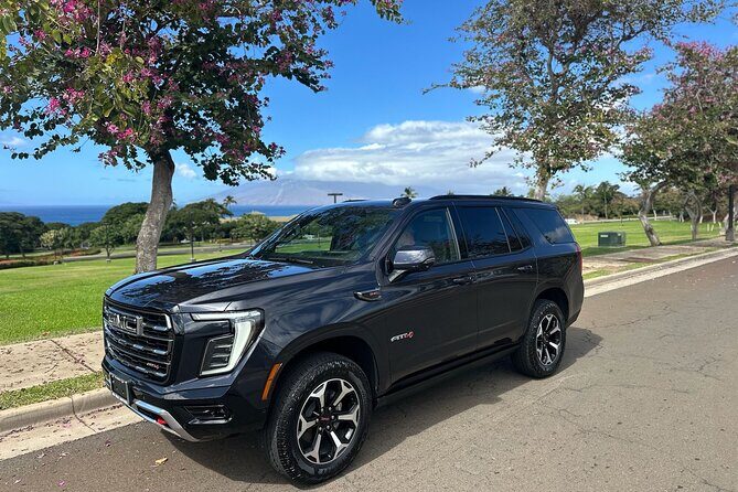 Private Half Way to Hana Tour with Local Guide - Experience the Road to Hana in Style and Comfort