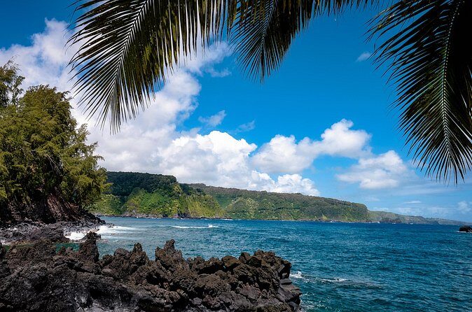 Private Half Way to Hana Tour with Local Guide - Price and Value