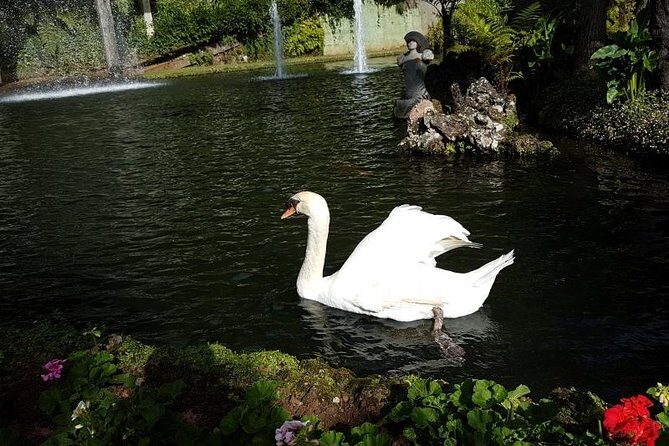 Private Halfday Madeira Garden Tour - Who Will Love This Tour?