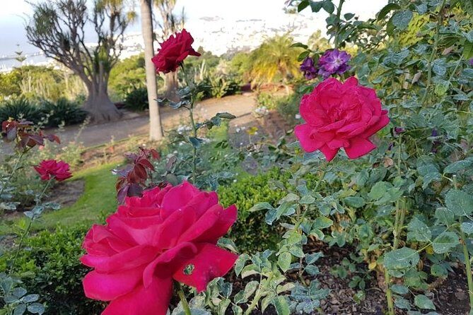 Private Halfday Madeira Garden Tour - FAQ