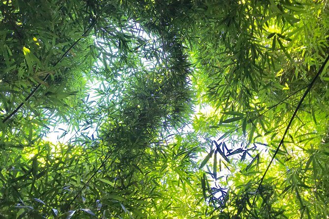 Private Halfway to Hana Tour - FAQ: Your Practical Questions Answered