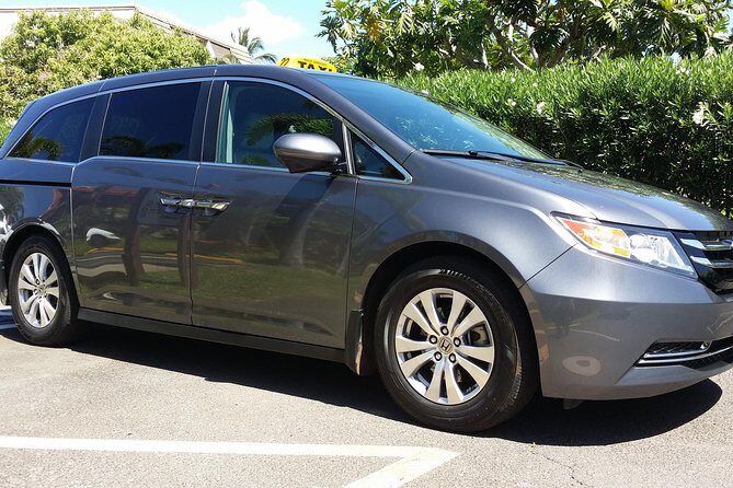 Private Hana, Ocean, Turtle Town, Winery Tour of Maui - Exploring Maui in Comfort and Style