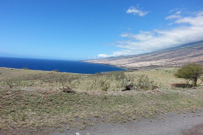 Private Hana, Ocean, Turtle Town, Winery Tour of Maui - Practical Considerations and Tips