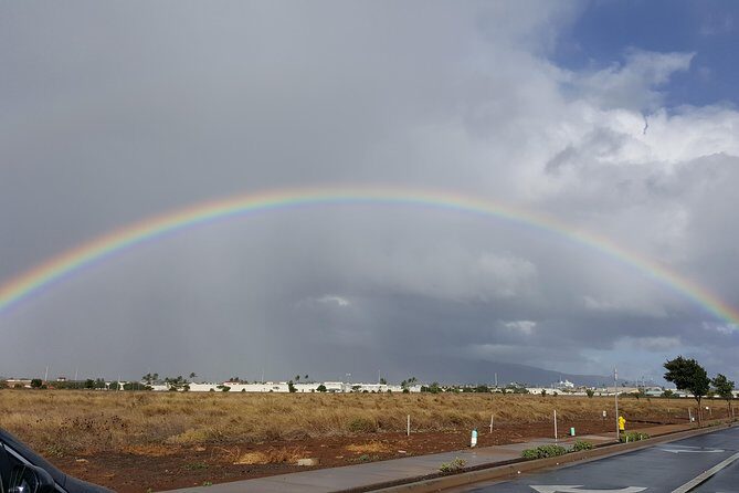 Private Hana, Ocean, Turtle Town, Winery Tour of Maui - Who Will Love This Tour?