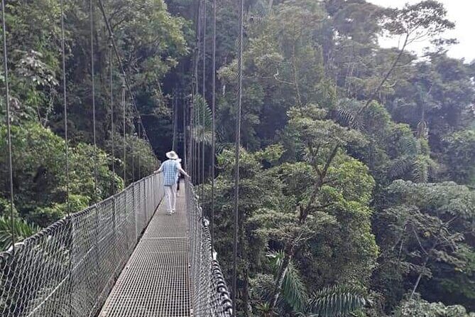 Private Hanging Bridges + Waterfall Tour + Costarrican Lunch - A Close Look at the Experience