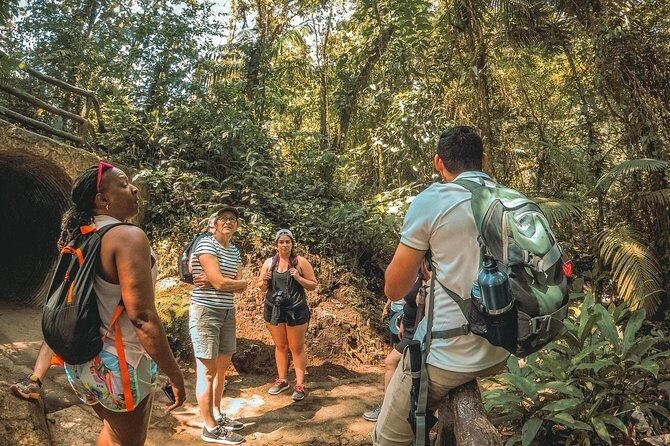 Private Hanging Bridges + Waterfall Tour + Costarrican Lunch - Authentic Experiences and What Travelers Say