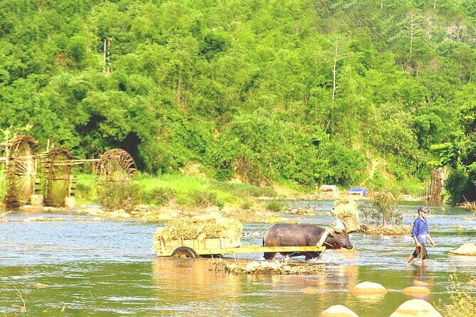 Private Hanoi Historical Walking and Coffee Making Class - Final Thoughts