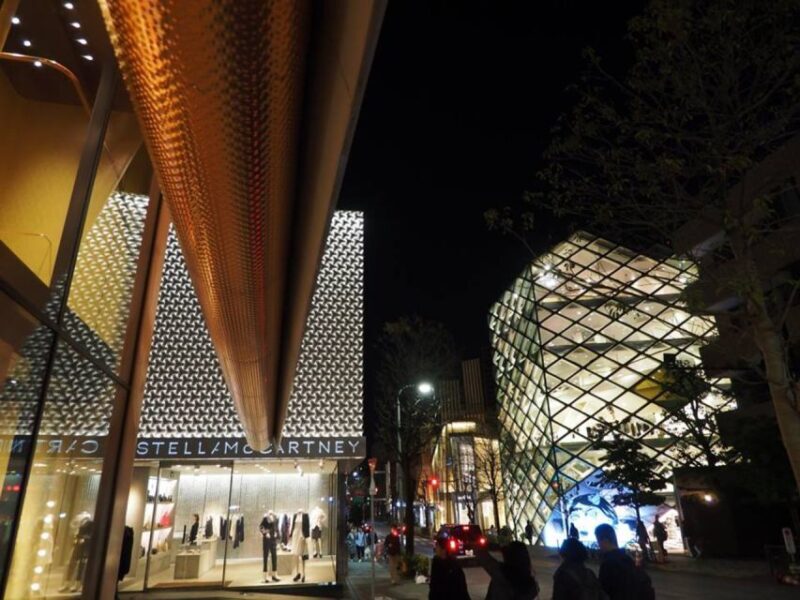 Private Harajuku Omotesando Architecture Tour - Final Thoughts: Is It Worth It?