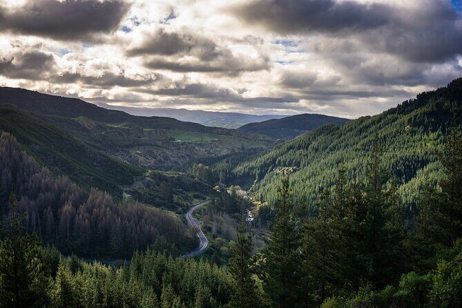 Private Hawkes Bay Geothermal Hot Pools Hike - What Travelers Can Expect