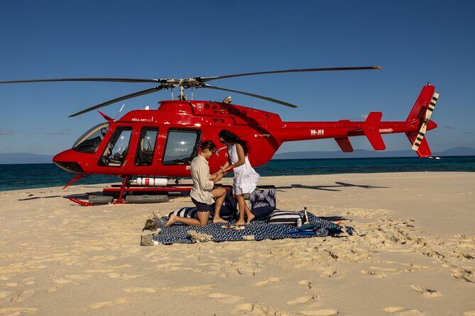 Private Helicopter Tour: Reef Island Snorkeling and Gourmet Picnic Lunch - Exploring the Tour in Detail