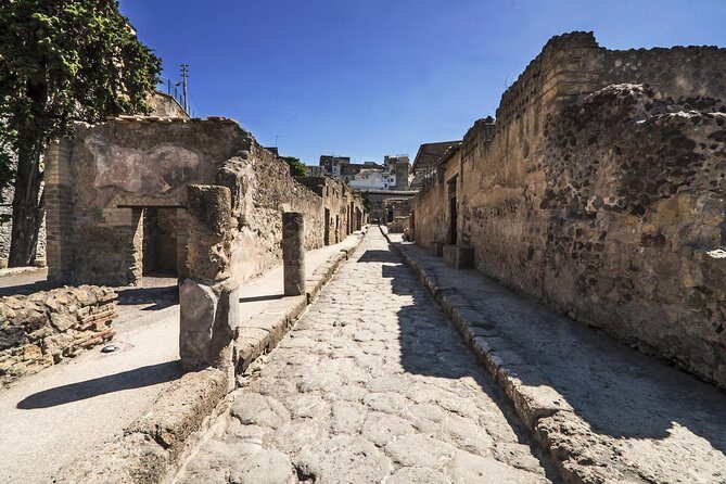Private Herculaneum Guided Tour from Sorrento - Who Will Love This Tour?