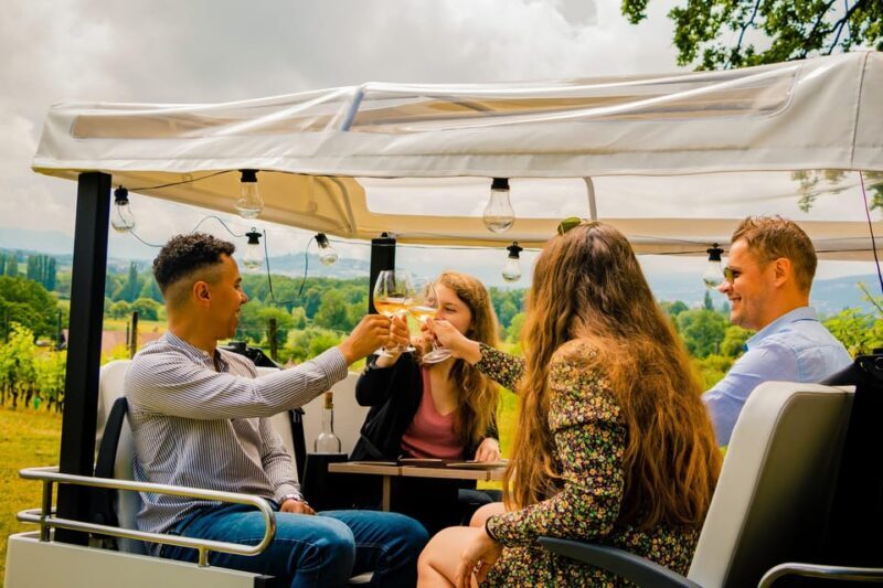 Private Highlights Top Places Tour Electric TukTuk 1h15 - Key Points