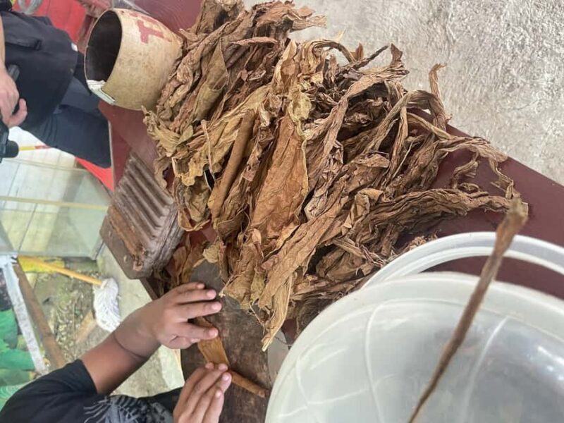 Private Higuey City Tour - An In-Depth Look at the Higuey Tour Experience