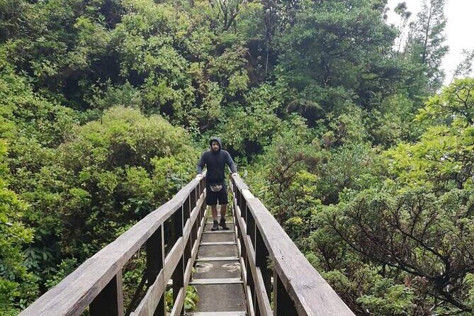 Private hike along the Levada - Exploring Faial’s Levada: A Guided Private Hike