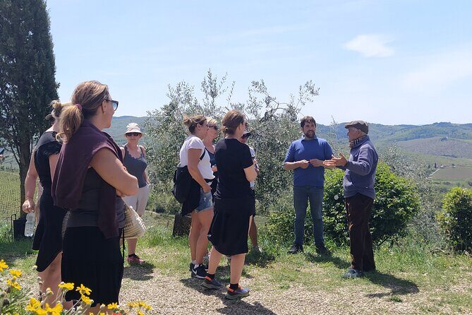 Private Hike and Wine Experiences in Chianti - In-Depth Review of the Private Hike and Wine Experience