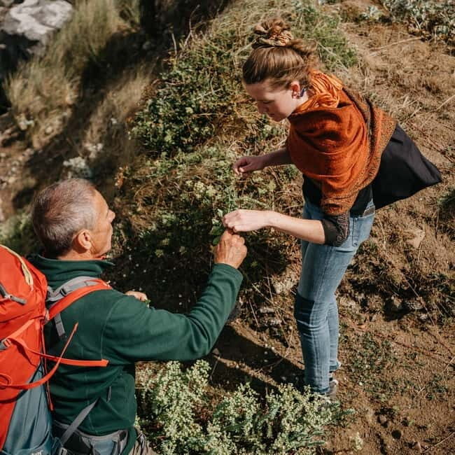 Private Hike: Brecon Beacons Henrhydd Falls Plus Foraging - Key Points