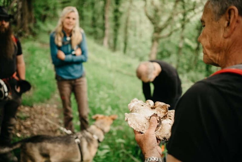 Private Hike: Brecon Beacons Henrhydd Falls Plus Foraging - Exploring the Brecon Beacons: A Deep Dive