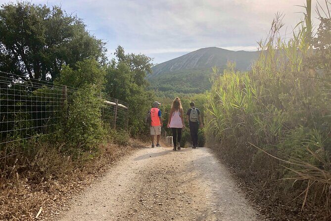 Private Hiking Adventure at Arrábida Mountain - What Makes This Tour Stand Out