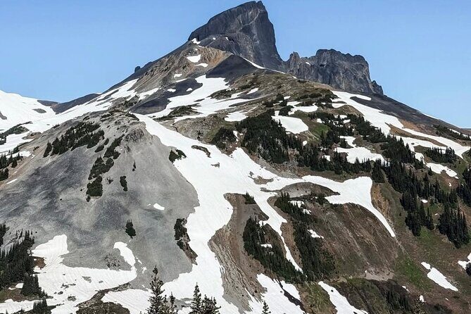 Private Hiking Day Tour of Garibaldi Lake Panorama Ridge - A Deep Dive into the Experience