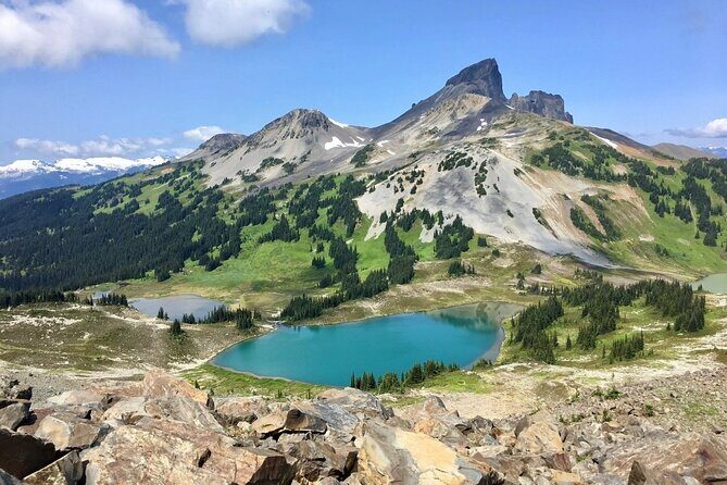 Private Hiking Day Tour of Garibaldi Lake Panorama Ridge - What Do We Think?