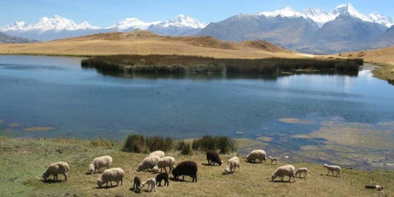 Private hiking route through the Wilcacocha lagoon. - Practical Details & Tips