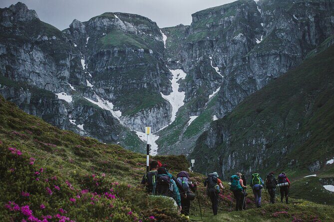 Private Hiking to Bucegi Natural Park from Brasov - Key Points