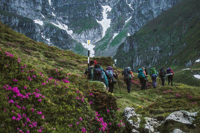 Private Hiking to Bucegi Natural Park from Brasov - The Sum Up