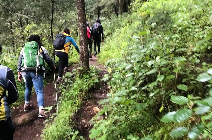 Private Hiking to Chipinique from Monterrey - Final Thoughts