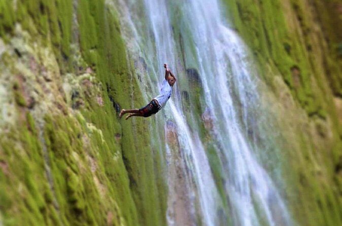 Private Hiking to Salto el Limon with a Local expert Guide from Samana - Who Will Love This Tour?