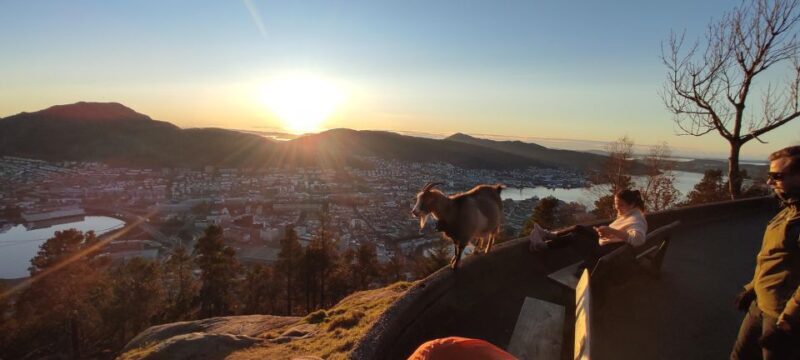 Private hiking tour Bergen mountains like a local - Detailed Route Breakdown