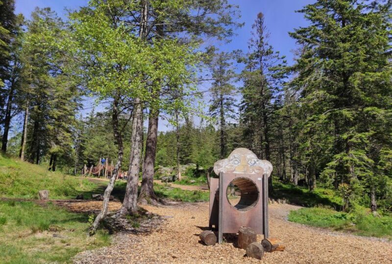 Private hiking tour Bergen mountains like a local - Final Thoughts: Who Is This Tour Best For?