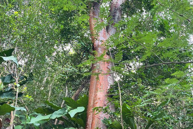 Private Hiking Tour in British Virgin Island with the Best 360 View - Frequently Asked Questions