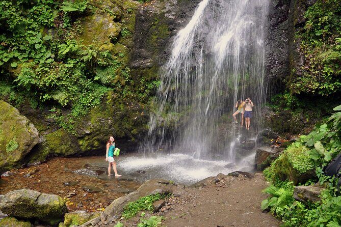 Private Hiking Tour to Mtirala National Park from Batumi - An In-Depth Look at the Mtirala National Park Hiking Tour
