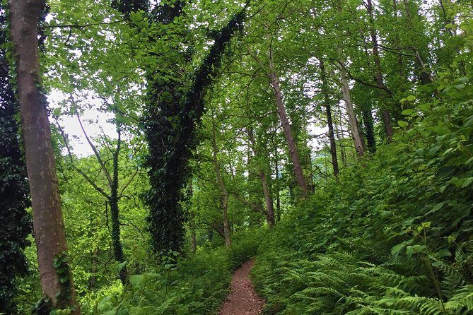 Private Hiking Tour to Mtirala National Park from Batumi - Final Thoughts