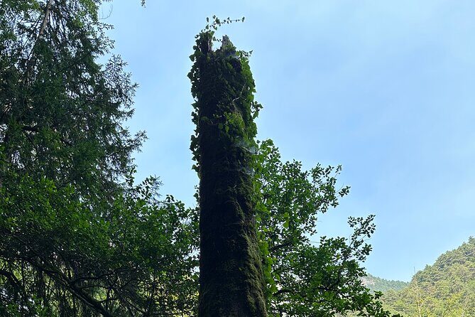 Private hiking tour to Olympus mountain - The Value of a Private Guided Hike in Olympus