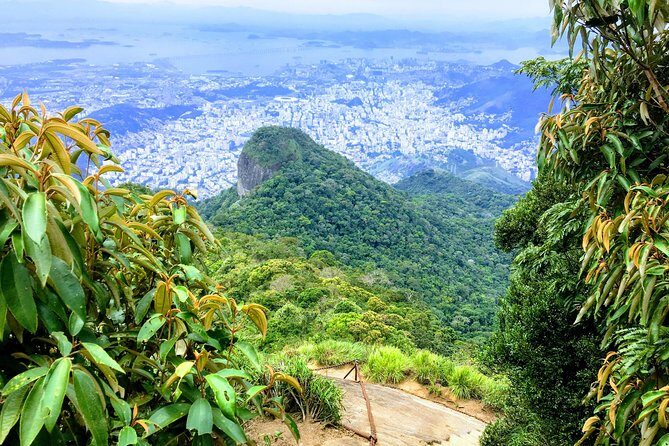 Private Hiking Tour to Tijuca Peak - Tijuca National Park - by OIR Aventura - Key Points
