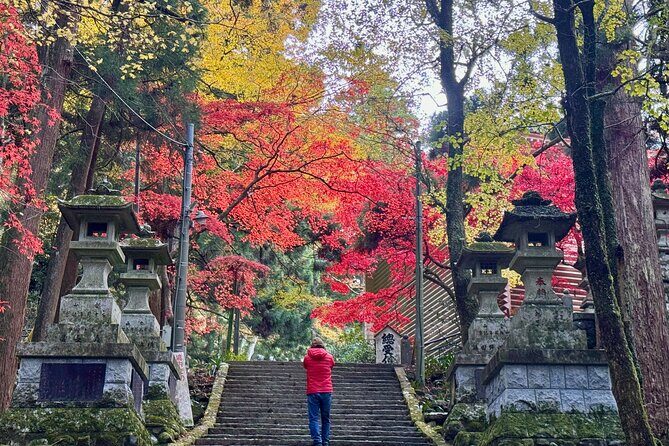 Private Hiking Tour with a certified national guide in Hakone - Key Points