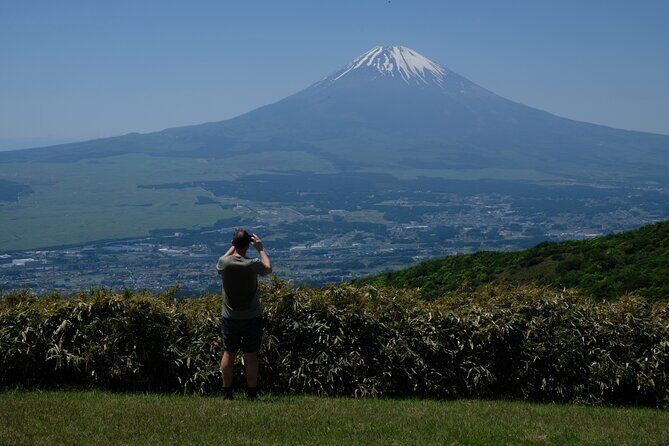 Private Hiking Tour with a certified national guide in Hakone - An In-Depth Look at Hakone’s Private Hiking Tour