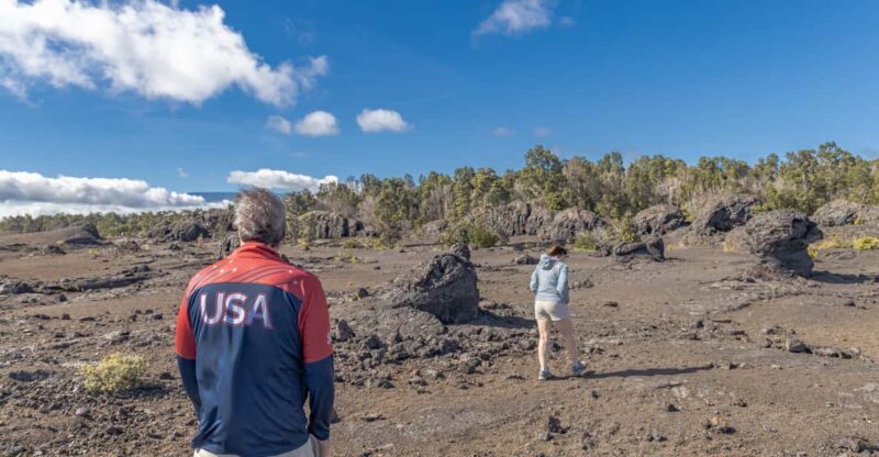 Private Hilo Cruise Special - Waterfalls and Volcanoes - Final Thoughts: Who Should Consider This Tour?