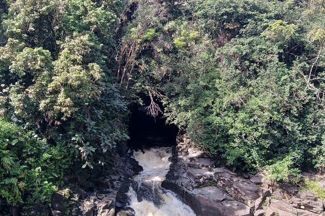 Private Hilo Shore Excursion Volcano National Park up to 14 - FAQ