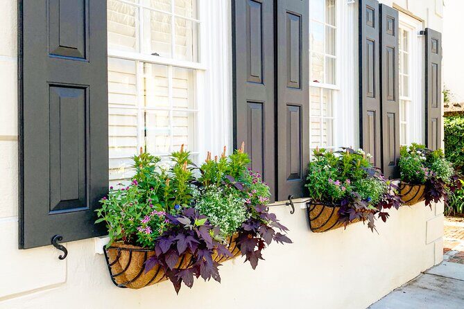 Private Historic Horse & Carriage Tour of Charleston - FAQs