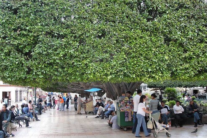 Private History & City Walking Tour of Guanajuato - The Sum Up