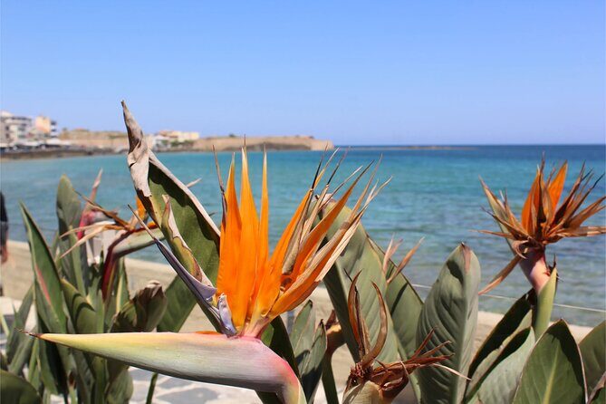 Private History, Sights, and Food Walking Tour of Chania City - A Closer Look at the Itinerary: What Youll Experience