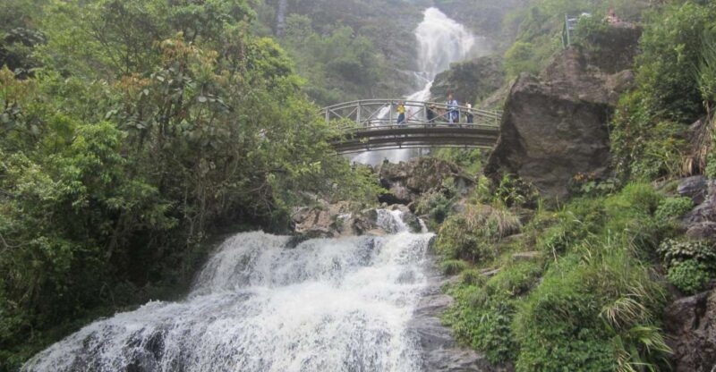 Private Hoang Lien National Park & Tribal Village Trek - In-Depth Review of the Private Hoang Lien National Park & Tribal Village Trek