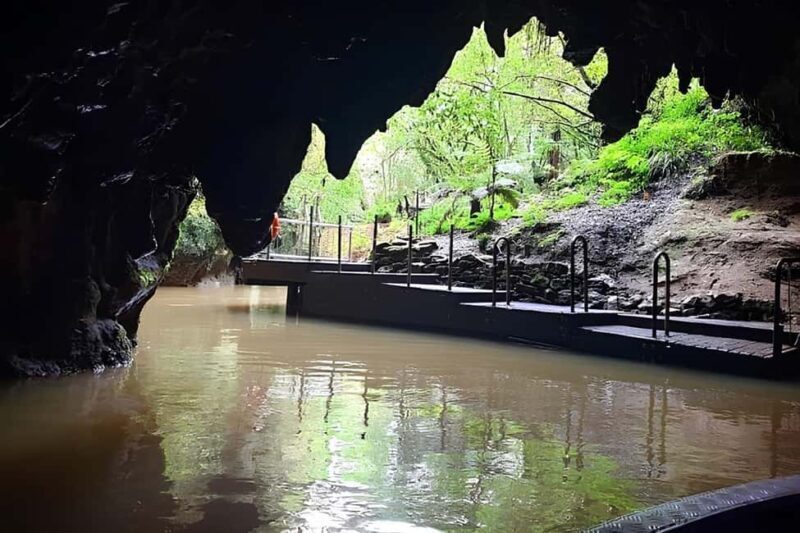 Private Hobbiton & Waitomo glowworm cave Day Trip - Key Points