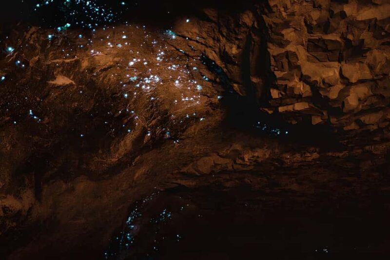 Private Hobbiton & Waitomo glowworm cave Day Trip - FAQs