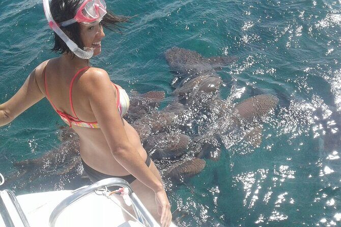 Private Hol Chan Morning or Sunset Half Day Charter - Why This Tour Offers Great Value