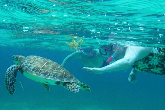 Private Hol Chan Morning or Sunset Half Day Charter - A Deep Dive into the Tour Experience